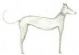 fashion in norwich - The Thin Dog Company