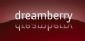 Web Accessibility in MANCHESTER - Dreamberry Design