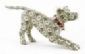 Pet Grooming in HAYWARDS HEATH - Million Dollar Dogs
