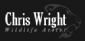 Artists in london - Chris Wright Artists in london - Chris Wright