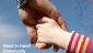 Family History in PLYMOUTH - Hand in Hand Genealogy Family History in PLYMOUTH - Hand in Hand Genealogy