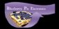 Instrument Repair in SHEFFIELD - Blueberry Pie Electronics