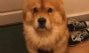 Photo uploaded by Jade Swailes Photo uploaded by Jade Swailes