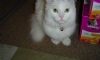 Photo uploaded by Marion & Rowla... Photo uploaded by Marion & Rowla...