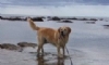 Photo uploaded by Tina Hannant Photo uploaded by Tina Hannant
