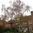 Hayward's Tree Services