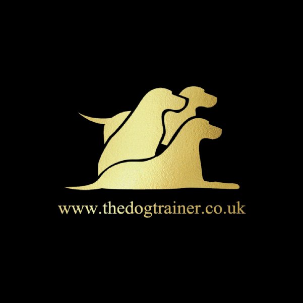 Kent Dog Behaviour Training, Queenborough 221 reviews Dog Trainer