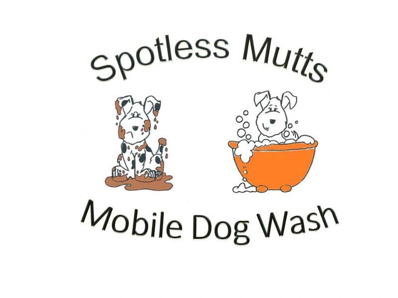 Spotless Mutts, Abingdon 1 review Dog Grooming Company FreeIndex
