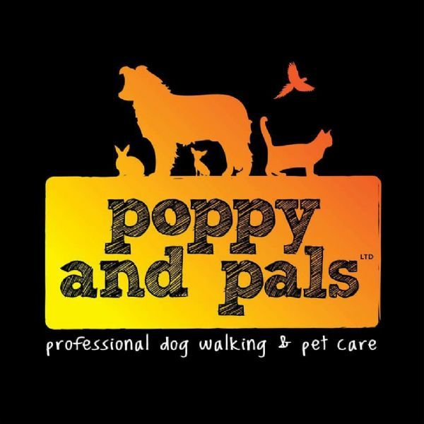 Poppy and Pals Pet Care Ltd, Maidstone Dog Walker