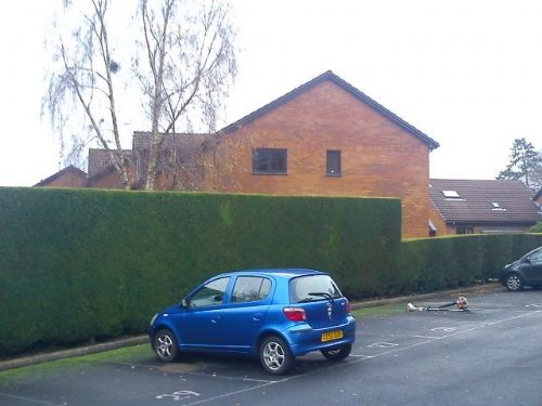 Gower Roots Gardening Services - Gardener in Garden Village, Gorseinon