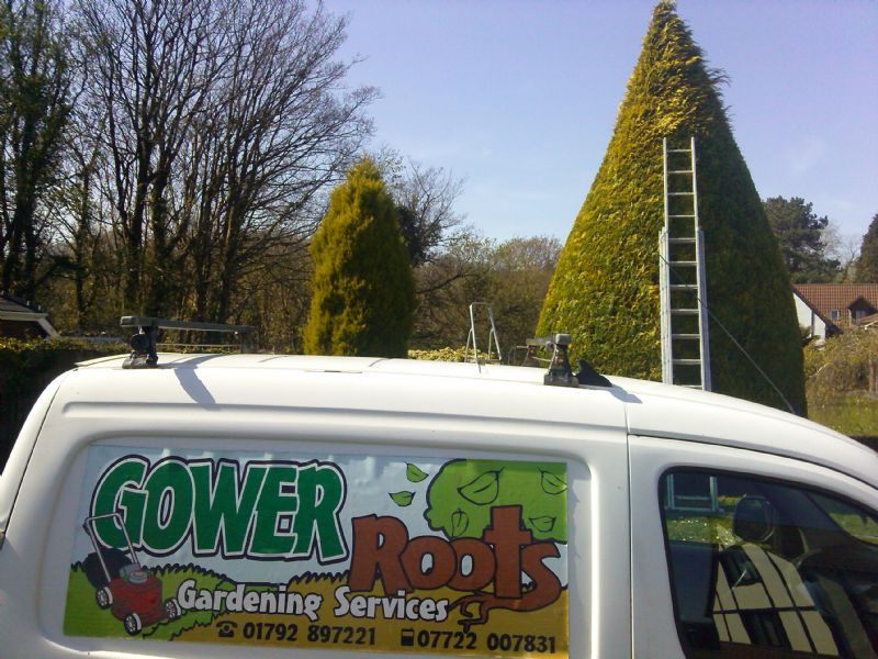 Gower Roots Gardening Services - Gardener in Garden Village, Gorseinon