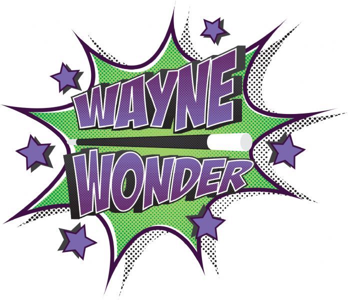 Wayne Wonder - Children’s Party Organiser in High Wycombe (UK)