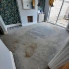 Supreme Carpet Cleaning