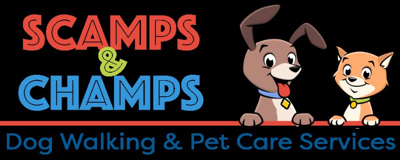 Scamps And Champs, Stockport 195 reviews Dog Walker
