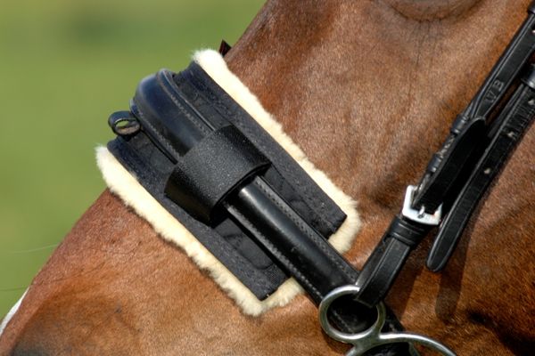 Horse Dream UK Ltd, Uckfield  4 reviews  Equestrian 