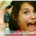 Waterlooville Driving School