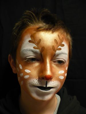 Devon Face Painting, Bideford  Face Painter - FreeIndex