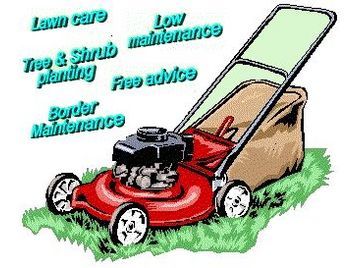 cheap grass cutting