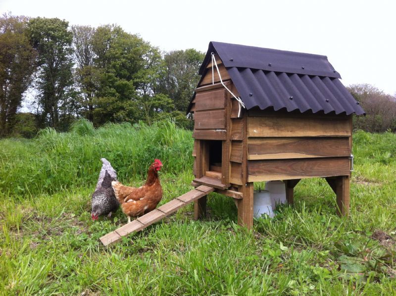 Tom's Hen Houses - Pet Supplier in Ruthvoes, St. Columb (UK)