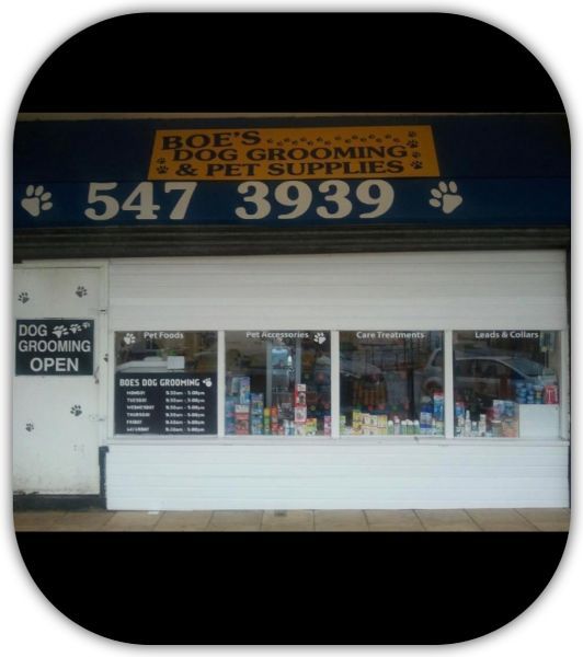 Boes Dog Grooming Salon and Pet Supplies, Liverpool Dog