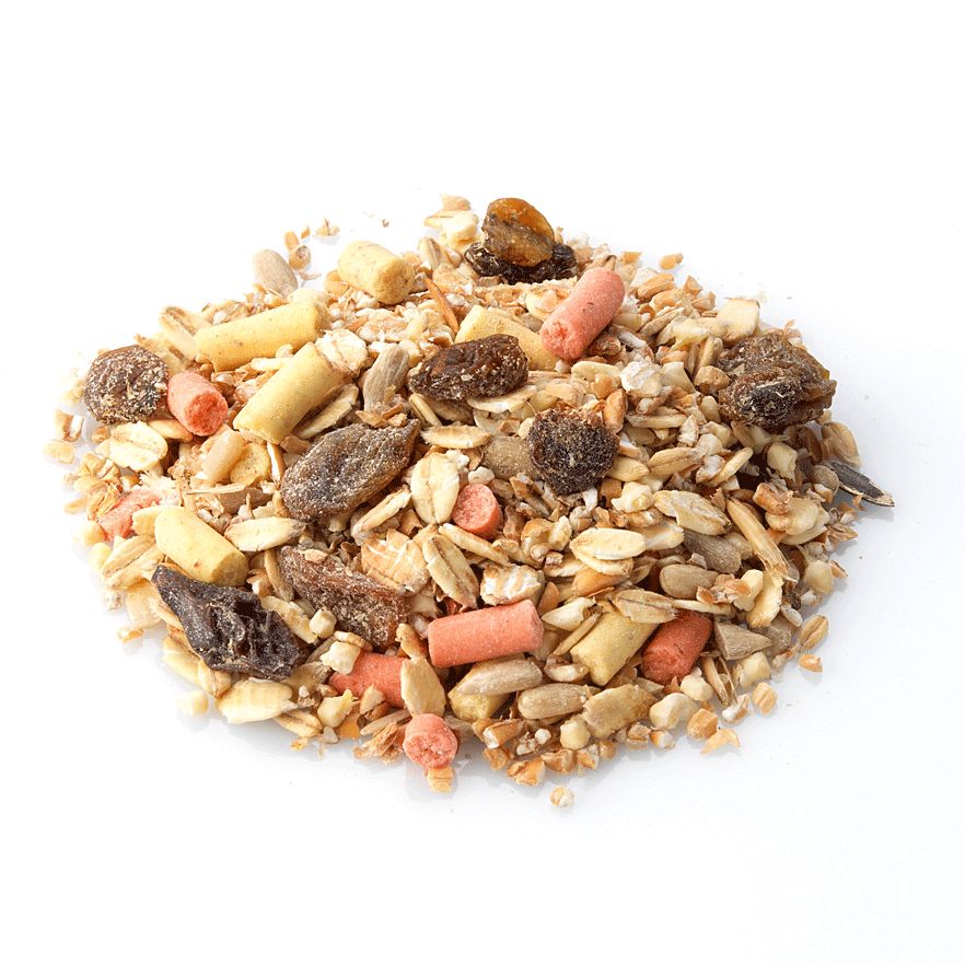 brinvale bird foods ltd bird food supplier in long brinvale bird foods ltd bird food supplier in long