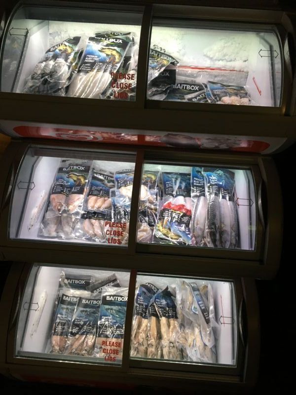 The Tackle Warehouse Ltd Fishing Tackle Shop in Crawley, West Sussex (UK)