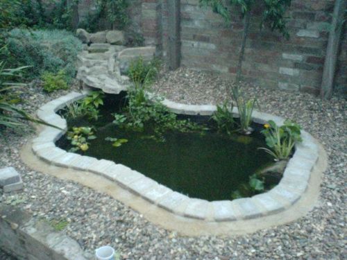 Lloyds Gardens, Cambridge | 9 reviews | Landscape Gardener - FreeIndex