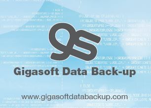 Image result for gigasoft data