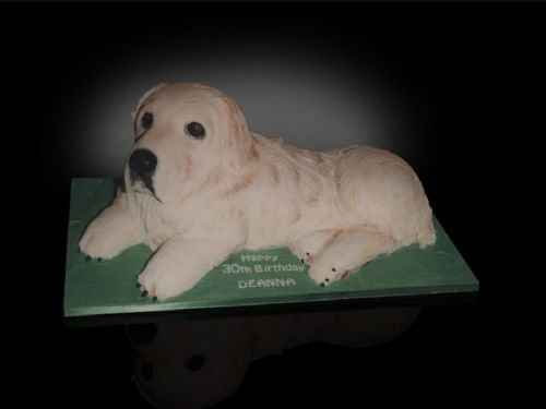 The Cake Artist - Cake Designer in East Preston ...