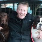 Windsor Dog Walks
