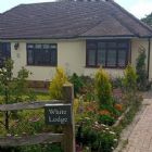 White Lodge Dog Grooming