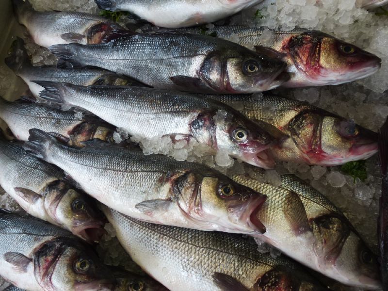 Buy Fish Online, Leighonsea Fishmonger FreeIndex