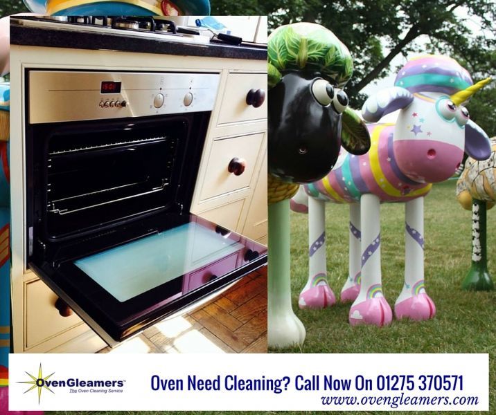 OvenGleamers Oven Cleaning Company in Pill, Bristol (UK)
