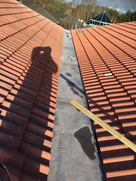 Lead contractor for Prestige Contracts building the new Frenchay Brain Injury Rehab unit