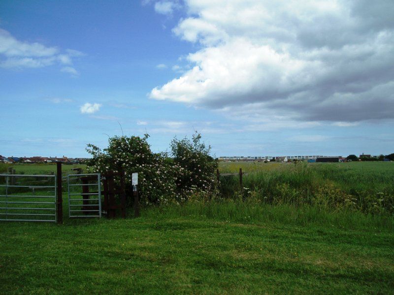 Millbrook Campsite