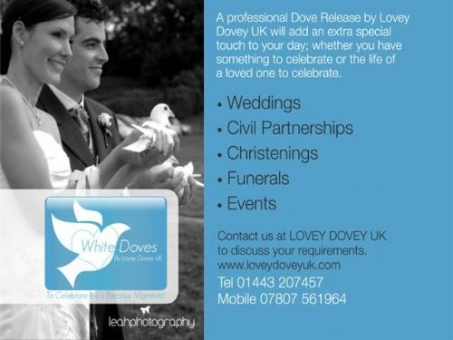 Lovey Dovey Uk Pontypridd 9 Reviews Dove Release Company Freeindex Lovey Dovey Uk Pontypridd 9 Reviews Dove Release Company Freeindex