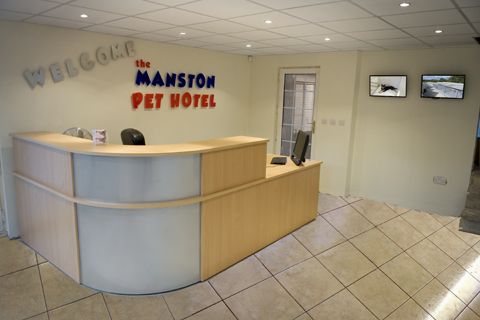 The Manston Pet Hotel Leeds 23 reviews Boarding The Manston Pet Hotel Leeds 23 reviews Boarding