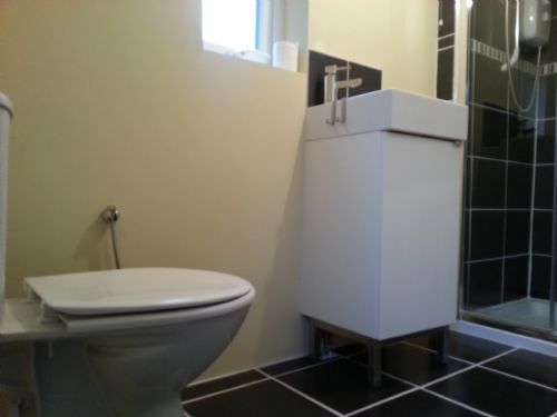 Bathroom view 4