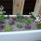 Judi Samuels Garden Design
