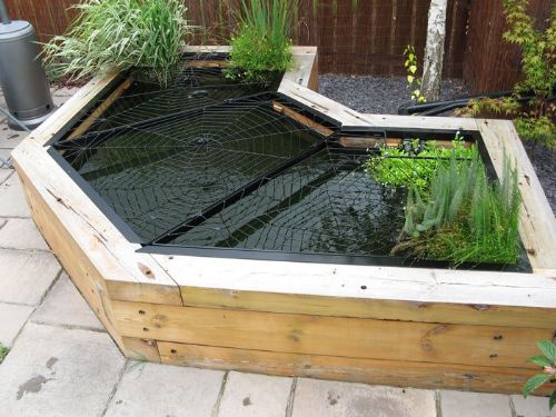 Pc2 The Photo On The Right Shows This Net In Place Winter Pond