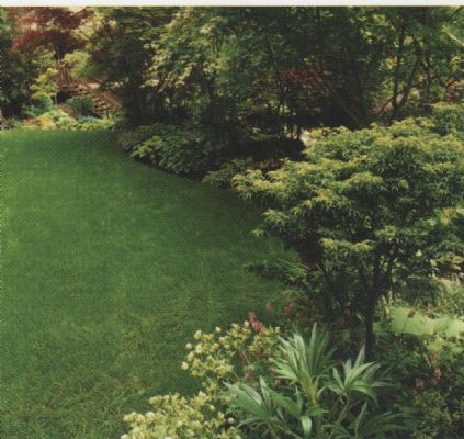 Mature garden created.