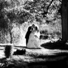 Paweddings and Pavideo