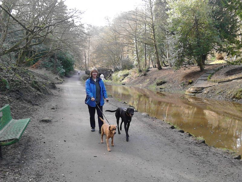 Dog Kennels In Oswaldtwistle Dog Kennels In Oswaldtwistle
