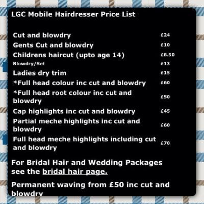Lgc Mobile Hair Styling Ipswich 4 Reviews Mobile Hairdresser