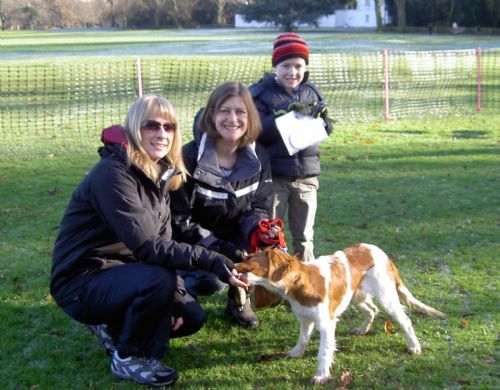 Dog Training Twickenham Dog Training Twickenham