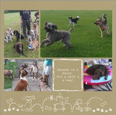 Pet Home Boarding Pontefract Pet Home Boarding Pontefract
