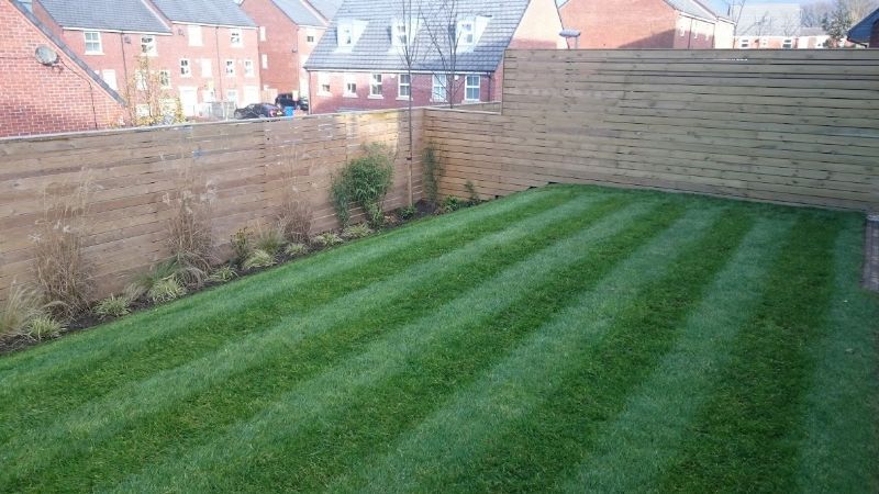 Peace of Mind Gardening