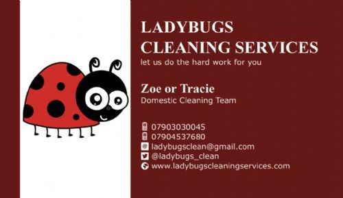 freshlinx web design london 2 reviews web design company ladybug business cards