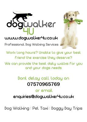 Home Based Business Ideas Home Based Business Ideas