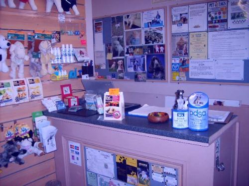 Pawcasso Cat and Dog Grooming Salon, Glasgow  3 reviews 